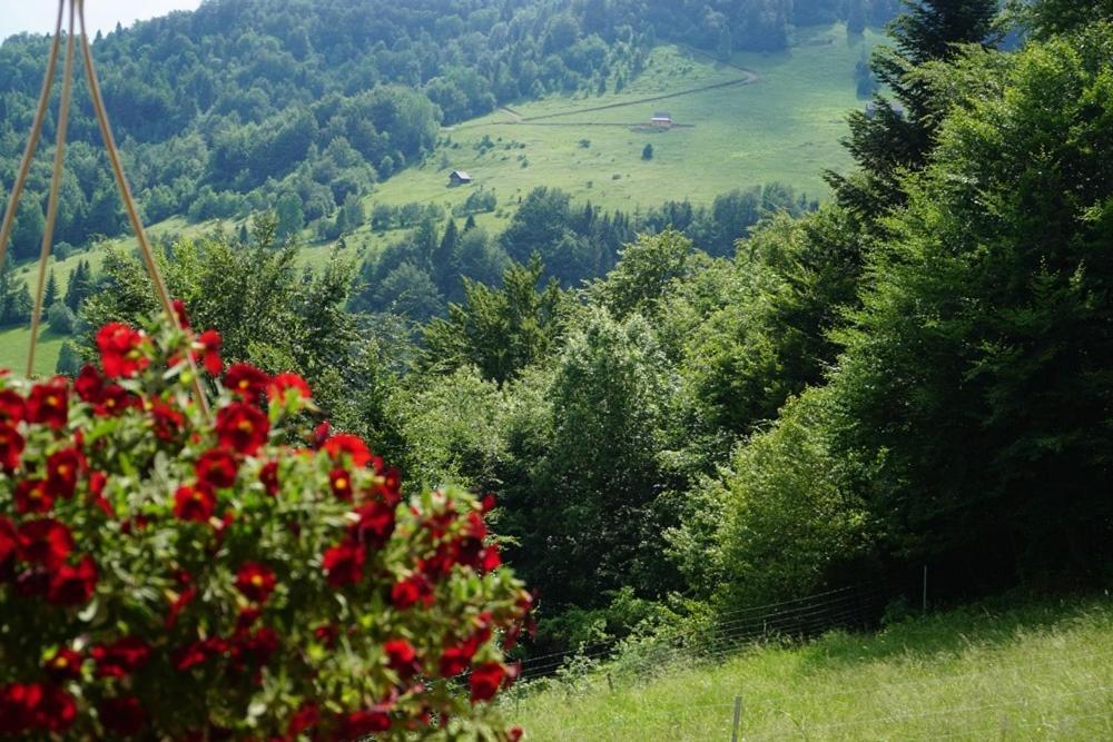 Gorczanskie Siedlisko Ochotnica Górna エクステリア 写真